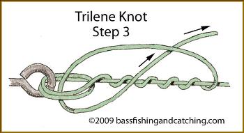 The Trilene Knot Is The Most Versatile Of All Bass Fishing Knots