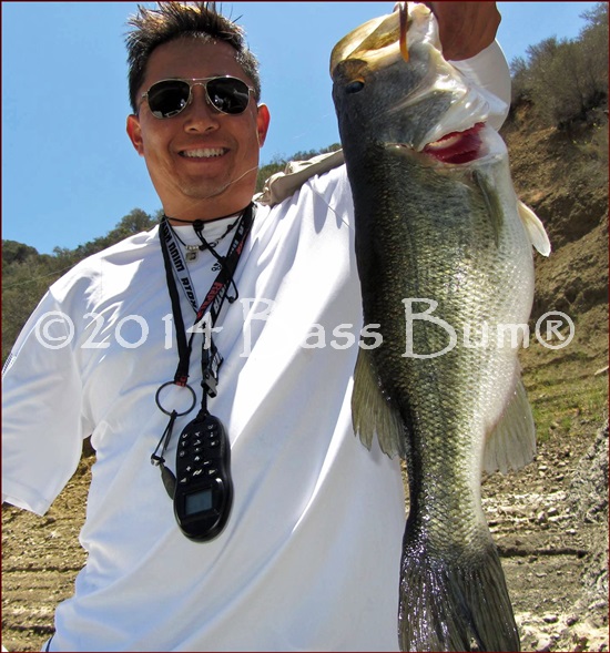 Castaic Lake 5.75lb Largemouth Bass