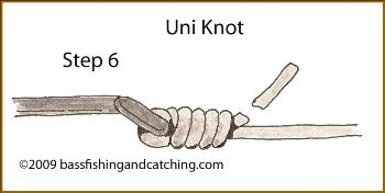 Tying a Uni Knot Step 6